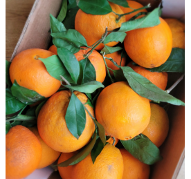 100% naturalne pomarańcze...