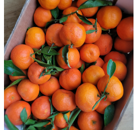 100% naturalne mandarynki...