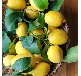 100% naturalne cytryny...